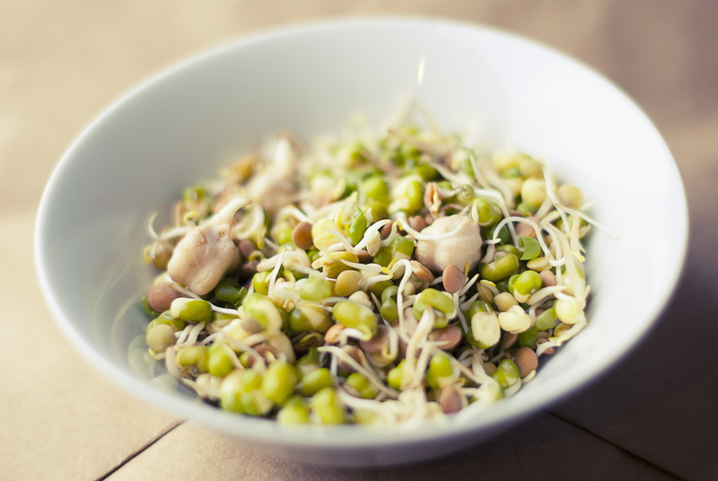 heap, beans, close-up, vitamin, salad, sprouts, soybean, plate, pasta, indoors, edible, table, selective focus, cooking, white, snack, growth, italian food
