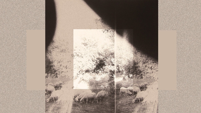 plant, auto post production filter, shadow, copy space, built structure, tree, wall - building feature, indoors, digital composite, music godspeed you black emperor album covers