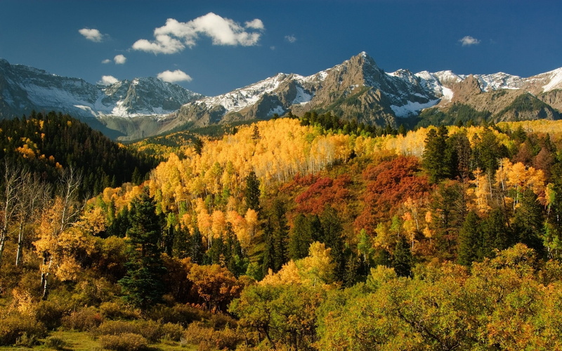 sum, green, peaks, leaves, autumn, rocky, mountain, trees, 1080P, birch, snow, yellow, pine, sio, sky, landscape