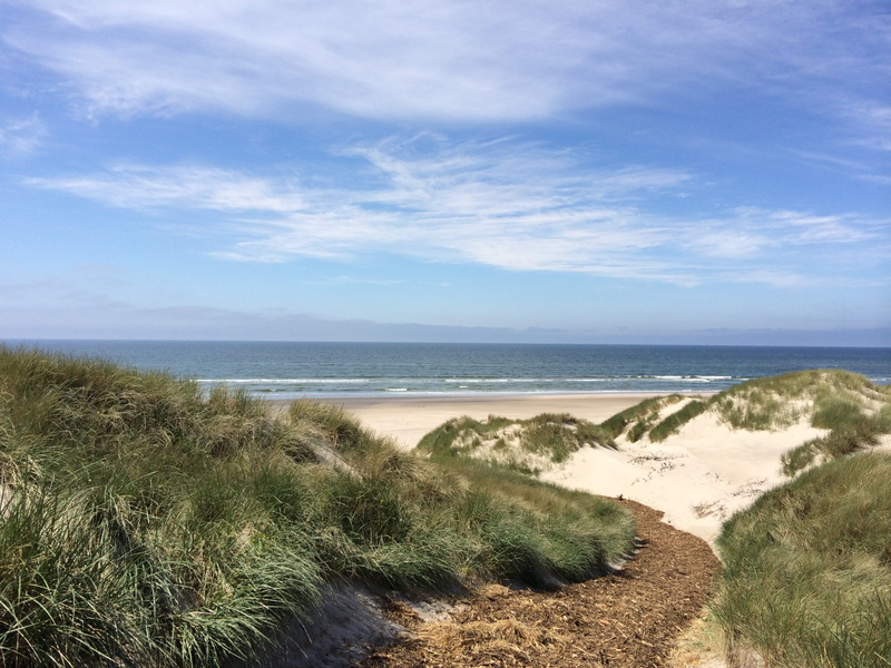 Beach, sand, day, Water, tranquility, plant, marram grass, cloud - sky, land, horizon, 2K, outdoors, sea, tranquil scene, nature, ocean, sky, water, horizon over water