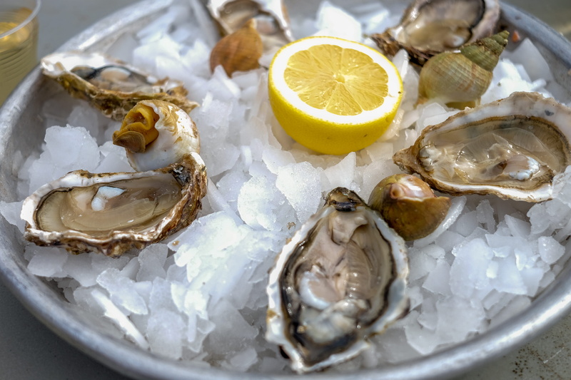 vin blanc, close-up, seafood, slice, plate, food, high angle view, france, citrus fruit, freshness, oysters, white wine, ice, 4K, lemon, no people, ostras