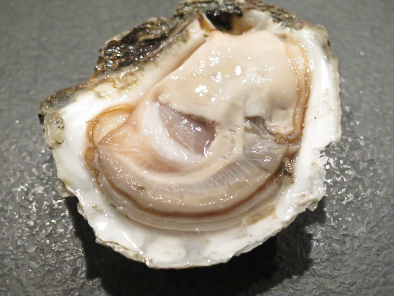 danish, ready-to-eat, dining, cake, animal, food, freshness, taste, opened, indoors, 4K, healthy eating, no people, celebration, close-up, the liim oysters