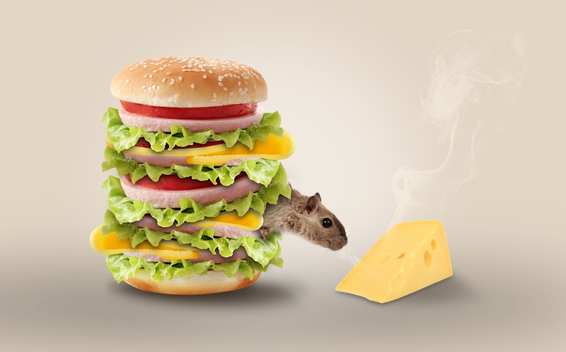 food and drink, Design, photomanipulation, Aero, Mouse, ground beef, bun, snack, burger, indoors, meat, take out food, Photoshop, bread, no people, vegetable
