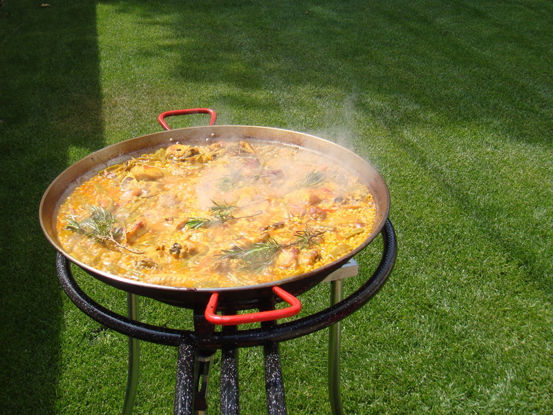 plant, food, day, still life, grass, chicken, food and drink, no people, healthy eating, vegetable, freshness, valencian paella, Paella, high angle view