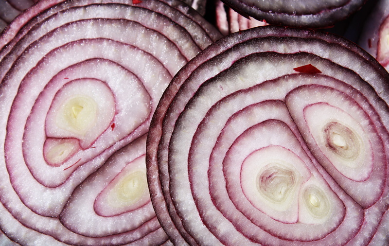 backgrounds, freshness, shell, healthy eating, onion, animal themes, extreme close-up, 5K, vegetable, food and drink, red onions vegetables, one animal