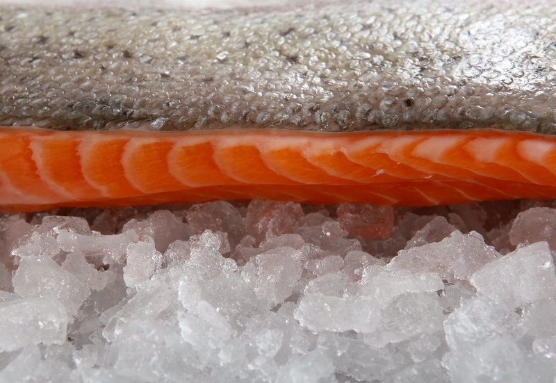 photo, sushi, hake, cod, fillet, bass, animal, fishmonger, orange, steak, japanese food, chef, orange color, freshness, pink, haddock, home, kitchen, closeup