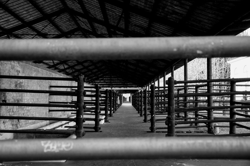 industry, slaughterhouse, diminishing perspective, empty, no people, ceiling, direction, days gone by, architecture, bridge, transportation, factory, in a row