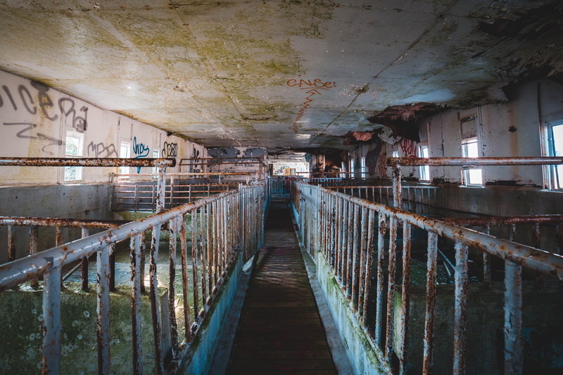 grunge, decline, the way forward, old, ruined, ceiling, st. johns, urban, architecture, 5K, farm, direction, diminishing perspective, no people, railing