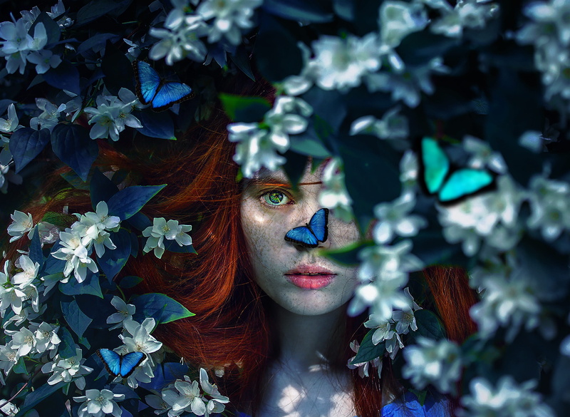 art, adult, young adult, night, close-up, one person, beauty, plant, growth, light, young women, leaf, plant part, tree, portrait, green eye, flowering plant