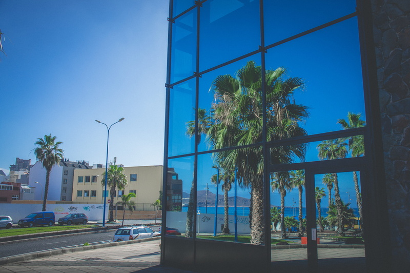 built structure, summer, sunny, glass - material, sky, reflection, architecture, cars, swimming pool, clear sky, shop, water, outdoors, coconut palm tree