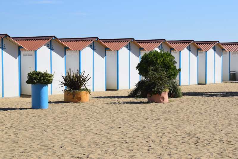 side by side, in a row, holiday, built structure, plant, sea, no people, house, sunlight, clear sky, sky, tree, outdoors, nature, italy, venice, 5K, building