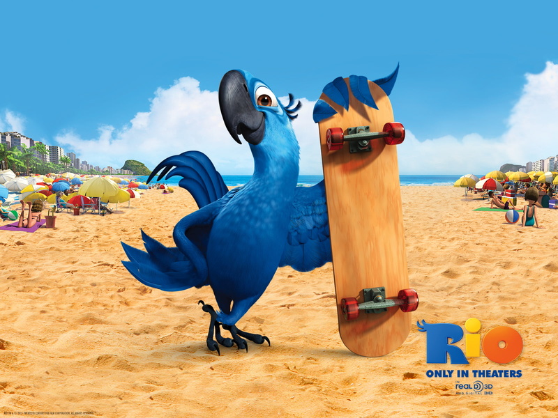 land, sky, animal wildlife, real people, rio, Movie, multi colored, vertebrate, 720P, blu, incidental people, blue, sand, holiday, animal themes, animal