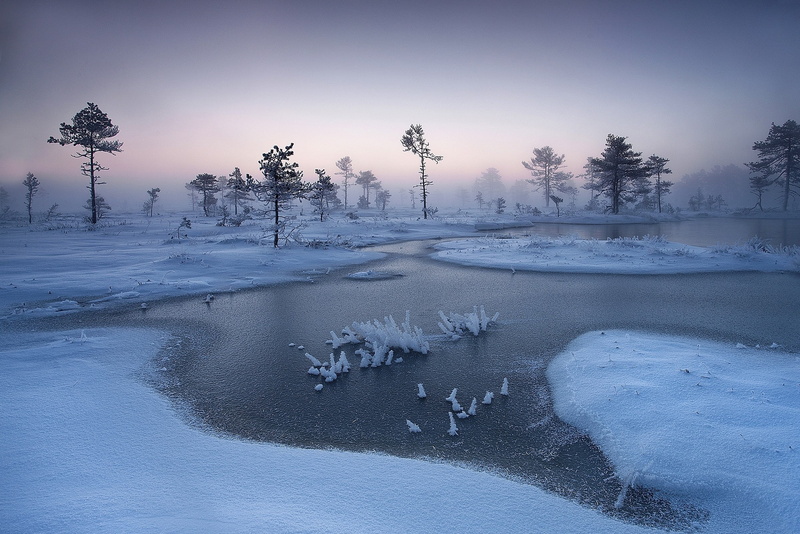 cold, snow, landscape, 1080P, Estonia, nature, calm, river, mist, frost, winter, trees