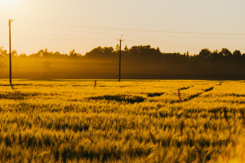 field, outdoors, power supply, sky, scenics - nature, landscape, environment, telephone line, technology, land, tree, tranquil scene, estonia, tranquility