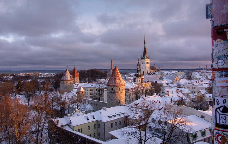 travel destinations, cityscape, Snow, Tallinn, building, Winter, cloud - sky, building exterior, Architecture, spire, Old City, 5K, tree, sky, Estonia