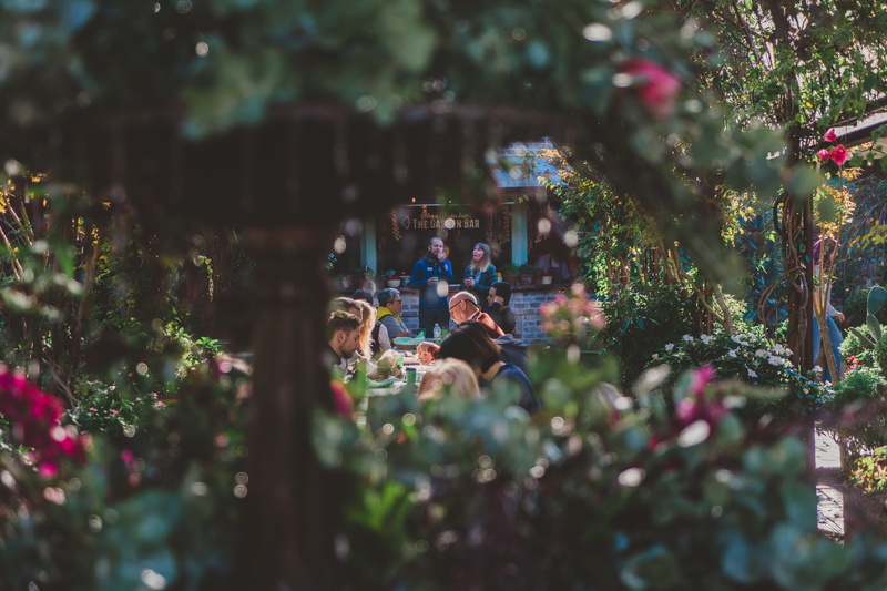 adult, leisure activity, flowering plant, eat, breakfast, plants, morning, lifestyles, men, conversation, group of people, drink, selective focus, plant
