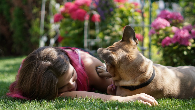 girl, pet, dog, each, glade, pose, together, lawn, bokeh, stay, lie, grass, comfort, hand, light, lies, summer, garden, woman, 4K, flowers, favorite, hair
