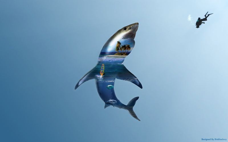 sea, outdoors, divers, cyan, cyan background, diabloalexy, animals in the wild, blue, island, shark, no people, animal wildlife, double exposure, spread wings