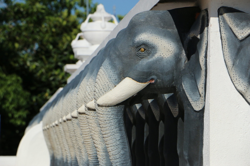 day, mammal, sunlight, focus on foreground, outdoors, statue, sculpture, close-up, human representation, art, mahaviharaya, ivor, animal, nature, elephant ivory
