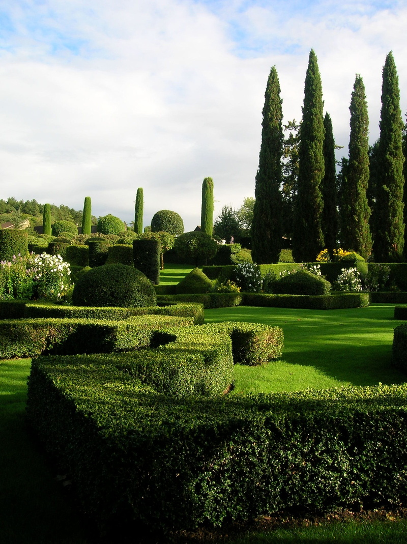 landscape, lawn, leisure park, domain, dordogne, ornamental garden, 18th century, day, green color, relaxation, trees, foliage, nature, no people, topiary