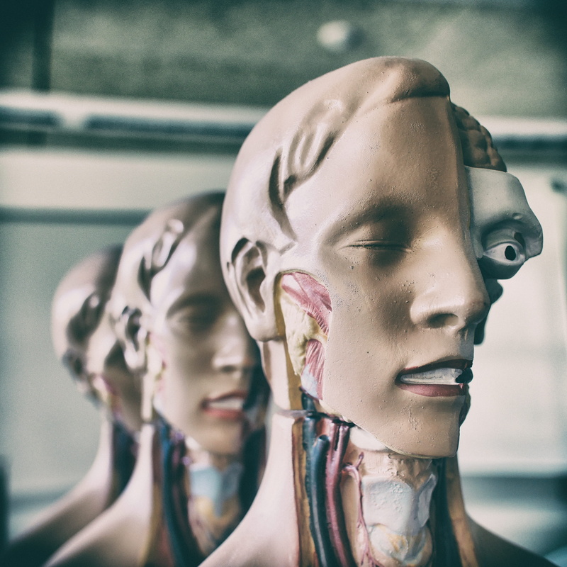 fashion, body part, headshot, art and craft, indoors, female likeness, human face, portrait, mannequin, human body part, anatomy, brave, statue, model