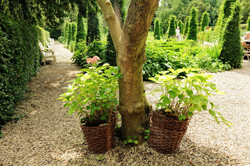 residence, vintage, Garden, potted plant, plant, classic, nature, garden, tree trunk, outdoors, freshness, tranquility, trunk, style, green color, grass