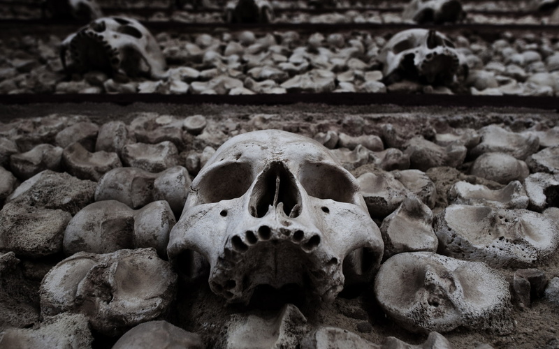 dead, horror, scary, skulls, halloween, fantasy, creepy, eyes, dark, death, spooky, face, skeleton, black, white, 1080P