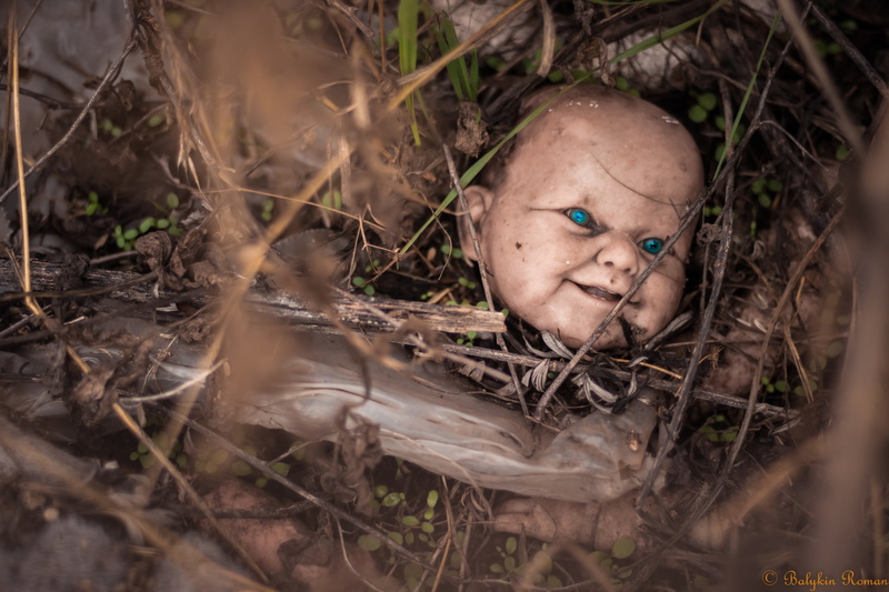 grass, human representation, nature, Creepy, abandoned, Doll, dirt, close-up, high angle view, field, outdoors, 1080P, representation, plant, tree, innocence