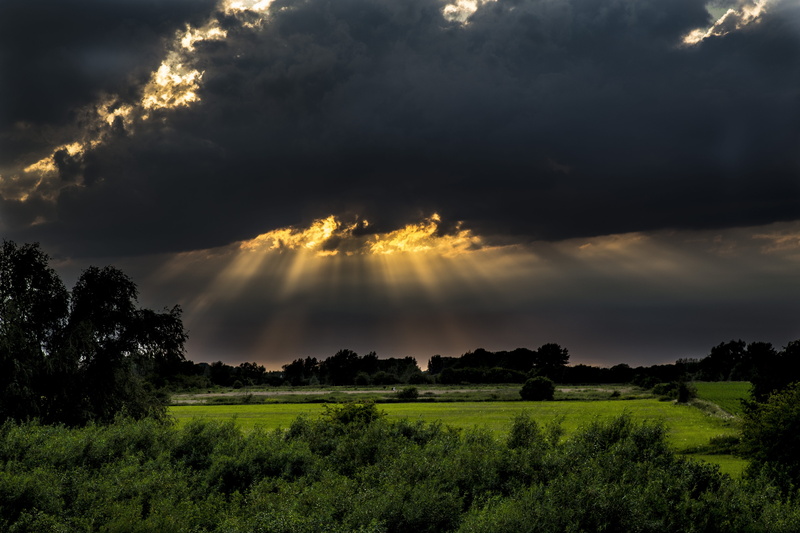 green, no people, tree, black, clouds, sunlight, daytime, Setting Sun, scenics, air, dark, grass, 5K, tranquility, non-Urban Scene, environment, forest