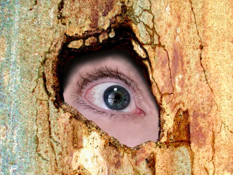Horror, 720P, Dark, Creepy, Eye, Halloween, Scary, Spooky