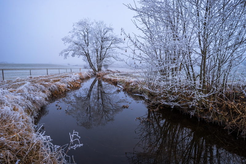 desktop background, cold temperature, lake, glitter, reflections, tranquil scene, background, wintry, crystals, water, landscape, winter, tree, scenics - nature