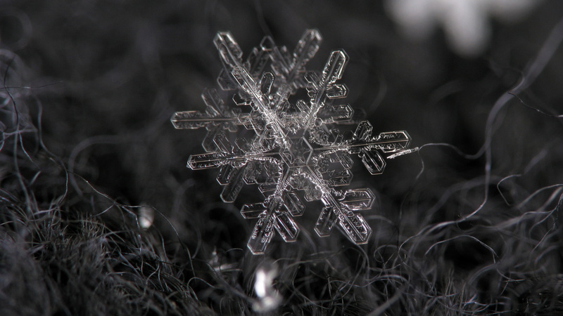 snowflake, nature, 2K, bw, hd, macro, winter