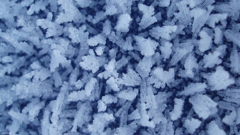 1080P, hd, winter, frost, macro, ice, nature