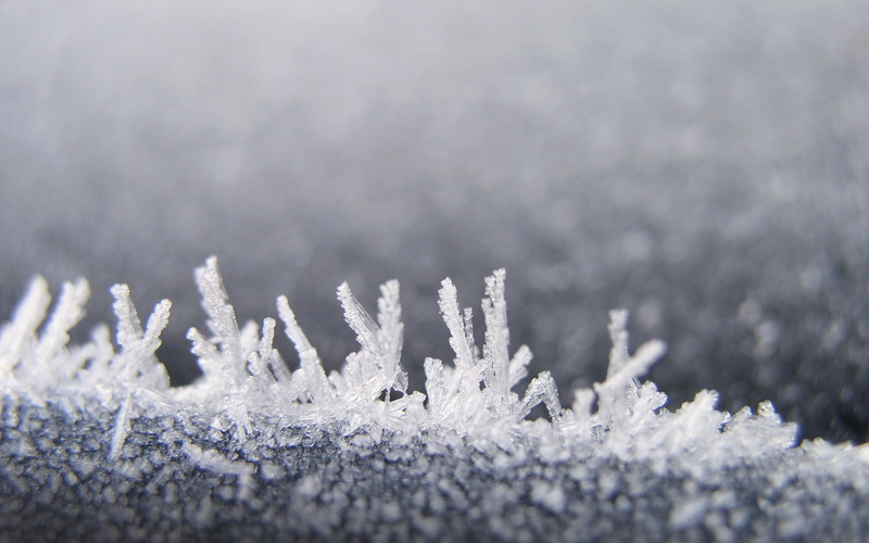 ice, hd, grass, nature, photography, frost, 1080P, winter, grayscale, macro