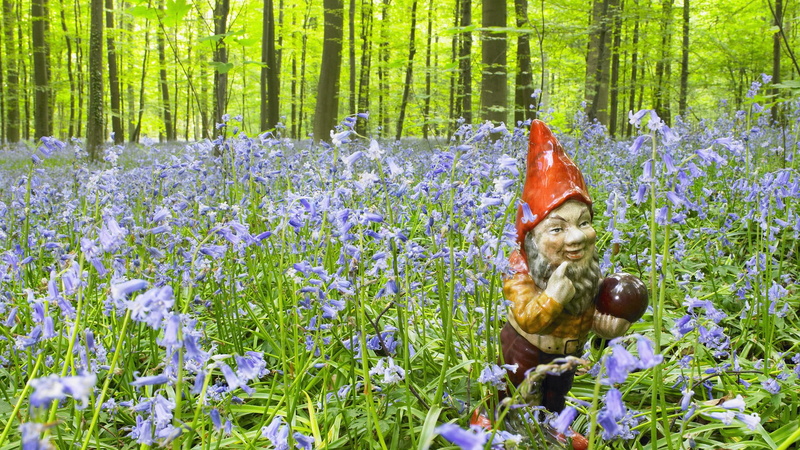 dwarf, flowers, brown, nature, hd, 1080P, ceramic, white, figurine, gnome
