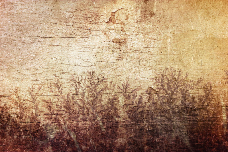 paper, scratched, tree, textured Effect, figure, messy, wood, wood - material, retro Styled, artists canvas, run-Down, weathered, full frame, dirty, cracked