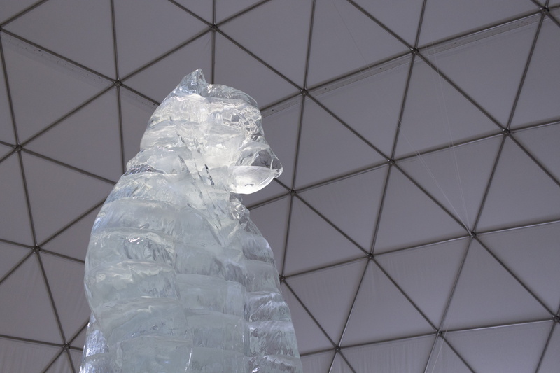 no people, indoors, ceiling, shape, 5K, triangle, focus on foreground, safety, protection, geometric, architecture, art, plastic, ice, nature, hrebienok