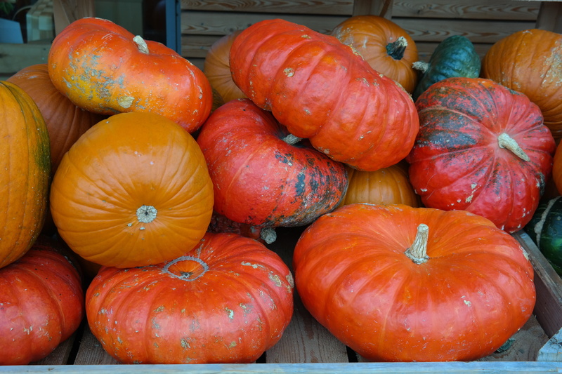 red zentner, vegetable, bearing vegetables, food and drink, organic, market stall, abundance, squash, retail, day, large group of objects, carving pumpkin