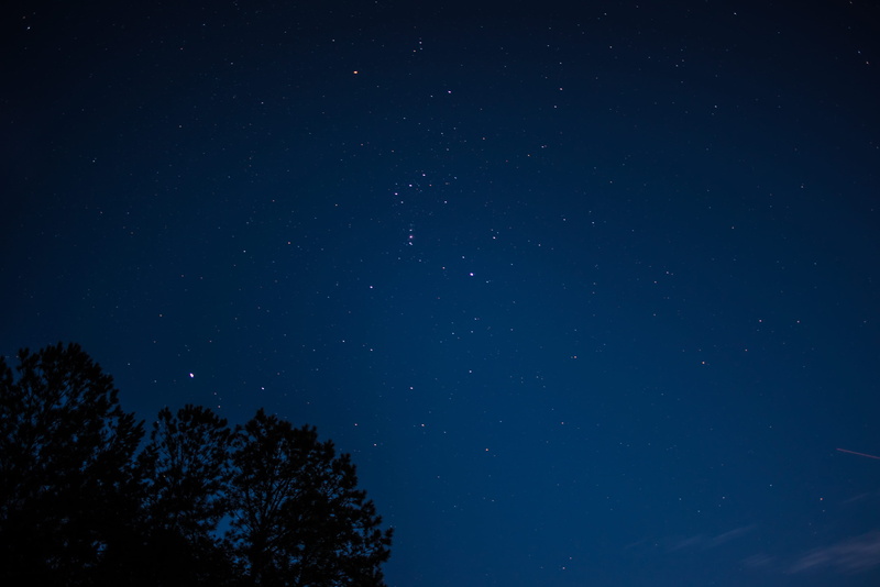 no people, tranquil scene, silhouette, star, long exposure, nature, night sky, sky, united states, trees, 4K, beauty in nature, tree, scenics - nature