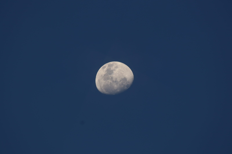 tranquil scene, tranquility, astronomy, beauty in nature, space, night, clear sky, gibbous, moon, planetary moon, full moon, lunar, waxing, space and astronomy