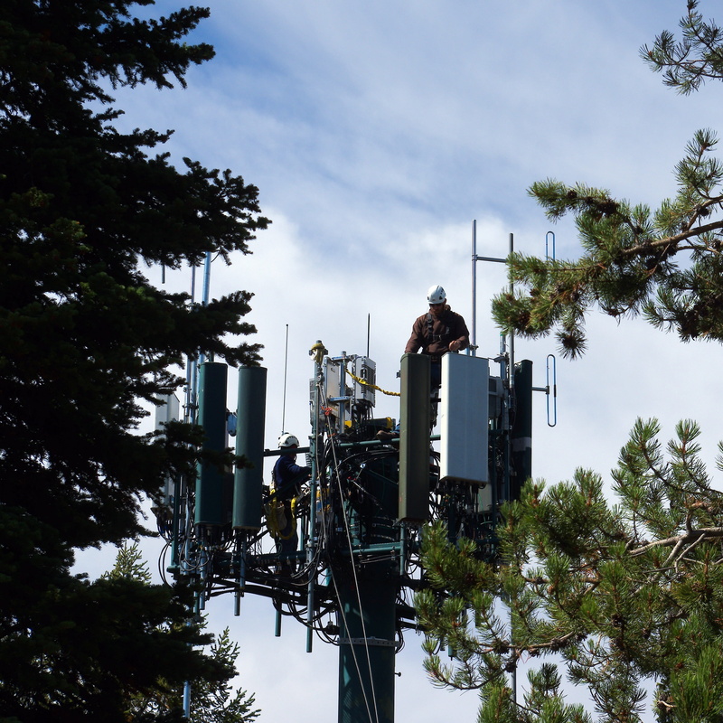 signal, communication, sky, tree, nature, park, workers, 2K, occupation, one person, teton, telecommunication, men, wyoming, day, plant, phone, transmission