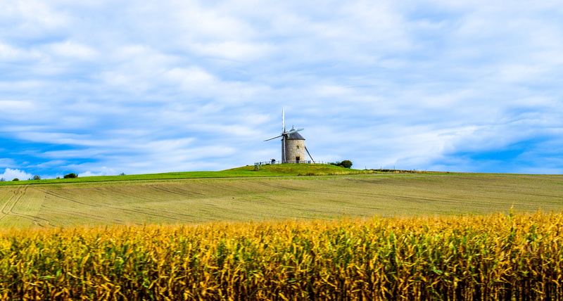 day, summer, land, scenics, agriculture, turbine, wind turbine, sky, Mont Saint Michel, beauty in nature, built structure, scenics - nature, harvest, field