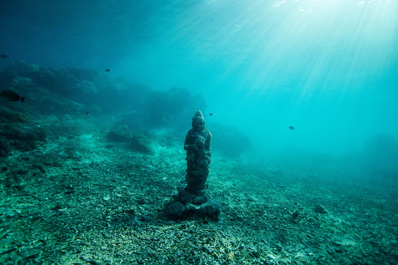 underwater diving, sea, underwater, underwater statue, exploration, leisure activity, ocean floor, animals in the wild, ocean, aquatic statue, adventure