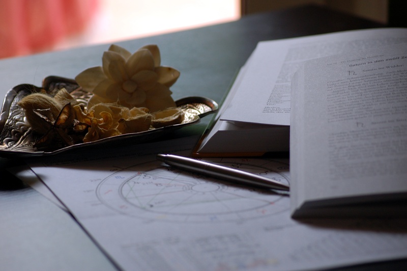 flowering plant, text, open, symbol, book, selective focus, zodiac, flower, esoteric, 2K, astrology, nature, mystery, pen, table, document, still life
