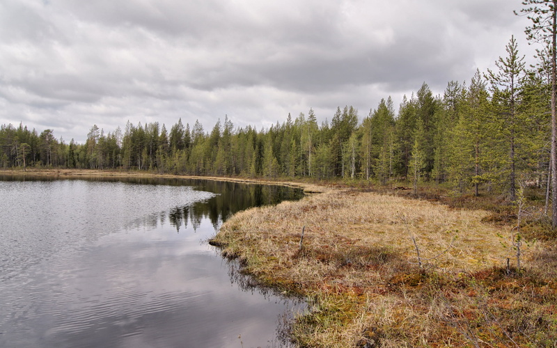 extreme Terrain, grass, coniferous, water, coniferous tree, travel, reflection, ripples, tranquility, green Color, pine Tree, river, non-Urban Scene, mountain