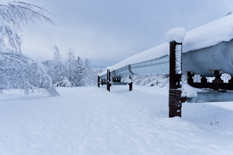 outdoors, land, cold temperature, architecture, united states, tree, scenics - nature, non-urban scene, 5K, snow, beauty in nature, snowcapped mountain