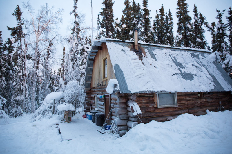 cottage, covering, cold temperature, outdoors, day, nature, snow, united states, land, built structure, alaska, plant, winter, no people, sky, snowcapped mountain