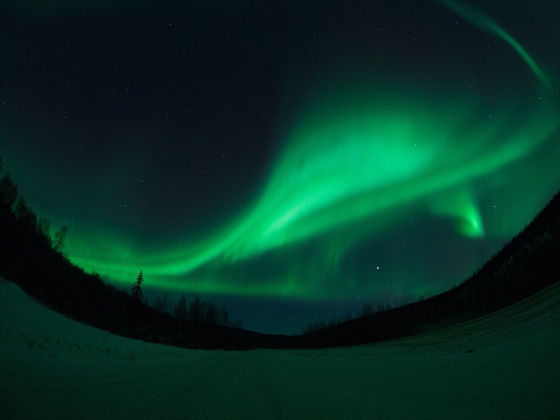 aurora Polaris, night, aurora Borealis, snow, landscape, tranquil scene, alaska, sky, astronomy, 4K, environment, scenics - nature, northern, starry sky