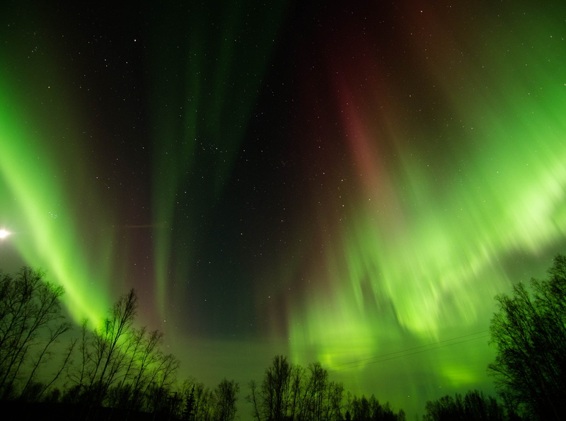 green color, Borealis, star - space, Aurora, tranquil scene, beauty in nature, Lights, Alaska, idyllic, 4K, Sun and Sky, Northern, tree, aurora polaris