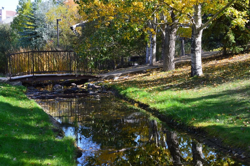 grass, canal, landscape, day, stream, outdoors, flowing water, reflection, flowing, plant, nature, saskatchewan, land, growth, bridge, forest, park, tranquility